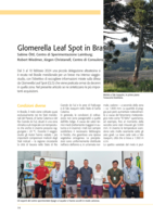 Glomerella Leaf Spot in Brasile