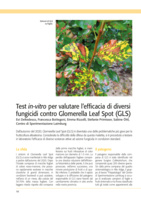 Test in-vitro per valutare l'efficacia di diversi fungicidi contro Glomerella Leaf Spot (GLS)