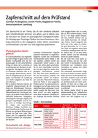 Zapfenschnitt auf dem Prüfstand