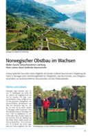 Norwegischer Obstbau im Wachsen