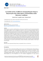 Larvicidal activity of different entomopathogenic fungi on Halyomorpha halys (Heteroptera: Pentatomidae) under laboratory conditions