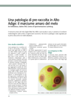 Una patologia di pre-raccolta in Alto Adige: il marciume amaro del melo