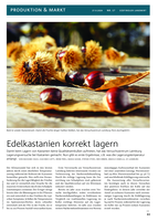 Edelkastanien korrekt lagern