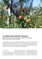 La storia del mutante Nicored
