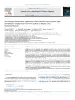 Unveiling the behavioural significance of the Aterian coarse-grained lithic assemblages: Insights from use-wear analysis of Rhafas Cave, Northeast Morocco