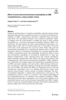 Effect of social and environmental sustainability on SME competitiveness: A meta-analytic review