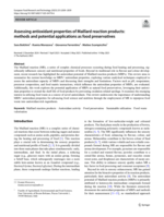 Assessing antioxidant properties of Maillard reaction products: Methods and potential applications as food preservatives