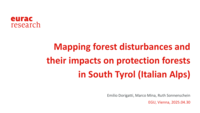 Mapping forest disturbances and their impacts on protection forests in South Tyrol (Italian Alps)