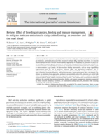 Review: Effect of breeding strategies, feeding and manure management, to mitigate methane emissions in dairy cattle farming: An overview and the road ahead