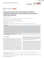 Dissecting extreme price fluctuations in mineral fertilizers: Regularities and co-­movements in light of global food security