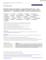 Striatin knock out induces a gain of function of INa and impaired Ca2+ handling in mESC-derived cardiomyocytes