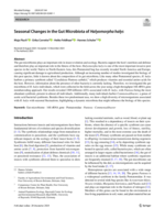 Seasonal Changes in the Gut Microbiota of Halyomorpha halys