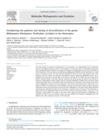 Deciphering the patterns and timing of diversification of the genus Melanastera (Hemiptera: Psylloidea: Liviidae) in the Neotropics