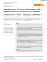 Below‐ground traits, rare species and environmental stress regulate the biodiversity–ecosystem function relationship