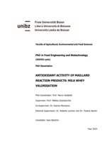Antioxidant activity of Maillard reaction products: milk whey valorisation