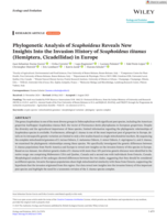 Phylogenetic Analysis of Scaphoideus Reveals New Insights Into the Invasion History of Scaphoideus titanus (Hemiptera, Cicadellidae) in Europe