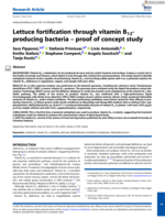 Lettuce fortification through vitamin B12-producing bacteria