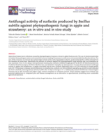 Antifungal activity of surfactin produced by Bacillus subtilis against phytopathogenic fungi in apple and strawberry: an in vitro and in vivo study