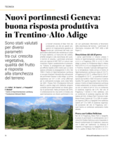 Nuovi portainnesti Geneva in Trentino - Alto Adige