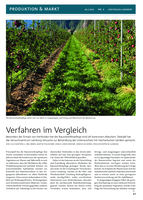 Verfahren im Vergleich