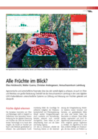 Alle Früchte im Blick?