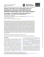 Changes in life history and morphological traits over 8 generations in the brown marmorated stink bug (Hemiptera: Pentatomidae) under mass-rearing conditions