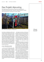 Das Projekt AIpruning