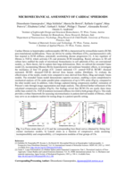 Micromechanical assessment of cardiac spheroids