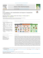 From synthesis to soil: Transformations and impacts of nanoparticles in agroecosystems