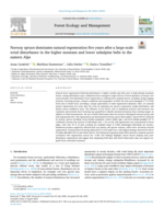 Norway spruce dominates natural regeneration five years after a large-scale wind disturbance in the higher montane and lower subalpine belts in the eastern Alps