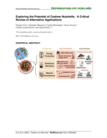 Exploring the Potential of Cashew Nutshells: A Critical Review of Alternative Applications