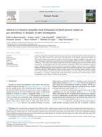Influence of bioactive peptides from fermented red lentil protein isolate on gut microbiota: A dynamic in vitro investigation