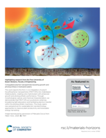 Conjugated polymer nanoparticles boosting growth and photosynthesis in biohybrid plants
