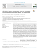Agrivoltaics as a win-win for rural regions? Energy and environmental justice perspectives across Italy, Spain, Belgium, and the Netherlands