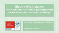 Electrifying Insights: How hiPSC-CM-MEA technology detects hidden cardiotoxic risks in pre-clinical screenings