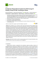Cytokinin-dependent control of GH3 group II family genes in the arabidopsis root