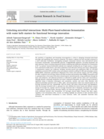 Unlocking microbial interactions: Multi-Plant-based-substrate fermentation with water kefir starters for functional beverage innovation