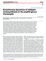 Evolutionary dynamics of obligate endosymbiosis in the psyllid genus <i>Cacopsylla</i>
