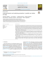 Cold-based glaciers and underlying permafrost: A possible new habitat for fungi