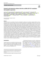 Genomic and molecular evidence that the lncRNA DSP-AS1 modulates Desmoplakin expression