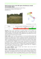 62A0 Formazioni erbose secche della regione submediterranea orientale (Scorzoneratalia villosae)