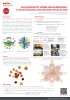 Intersectionality in Climate Change Adaptation: A Comparative Analysis from cases studies around the globe