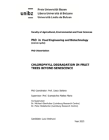 Chlorophyll degradation in fruit trees beyond senescence