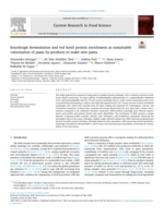 Sourdough fermentation and red lentil protein enrichment as sustainable valorization of pasta by-products to make new pasta