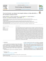Tree size diversity can enhance the drought resilience of Abies alba Mill. in the European mountain forests