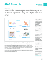 Protocol for recording of neural activity in 3D midbrain organoids using a multiple-electrode array