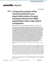 Comparative analysis of the mechanical behavior and plastic deformation of empty and polyurethane foam-filled polyethylene tubes under lateral compression