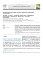 Revealing unexplored bacterial and fungal variability in interconnected Antarctic brines