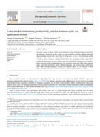 Labor market institutions, productivity, and the business cycle: An application to Italy
