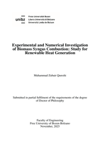 Experimental and Numerical Investigation of Biomass Syngas Combustion: study for Renewable Heat Generation